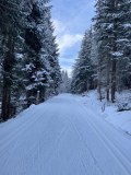 Toblach 2026